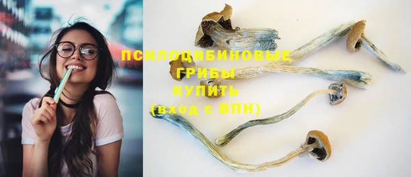 МДМА Богданович
