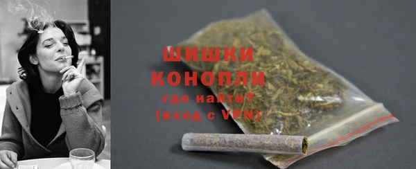 бутират Белокуриха
