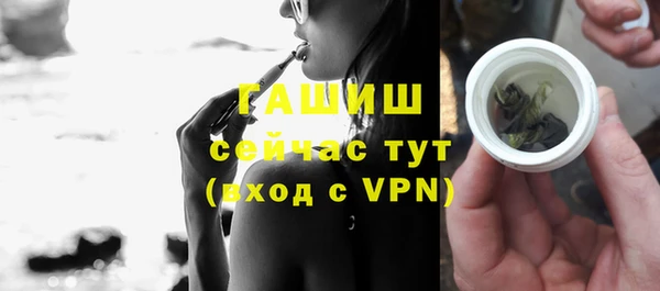 спиды Богородицк