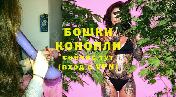 спиды Богородицк