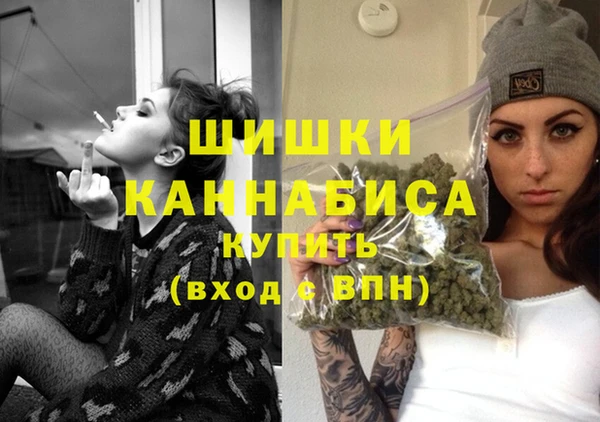 спиды Богородицк