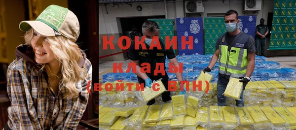 спиды Богородицк