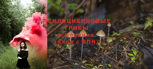спиды Богородицк