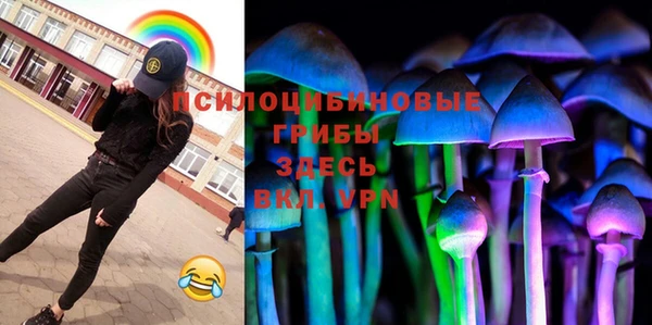 спиды Богородицк