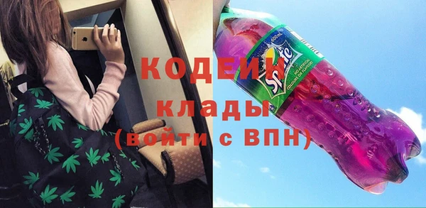 спиды Богородицк