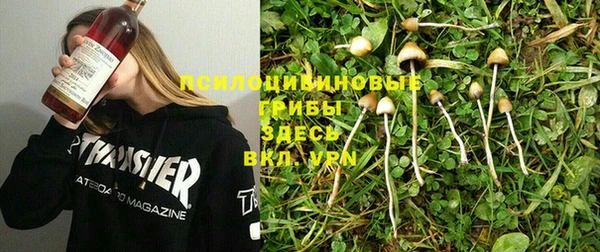 прущие грибы Осинники