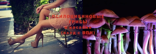 МДМА Богданович