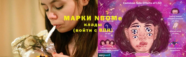 спиды Богородицк